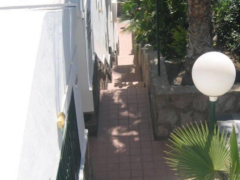 Apartamentos Laguna プエルトリコ エクステリア 写真